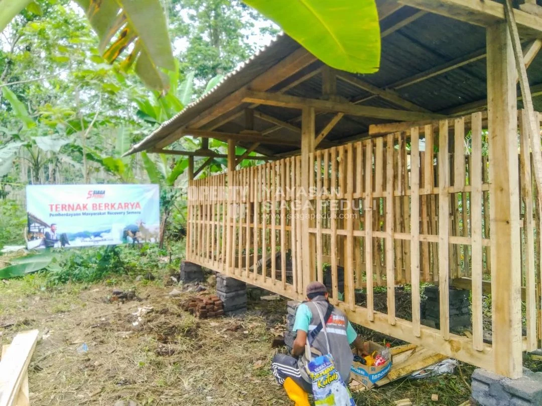 Siaga Peduli Bangun Ternak Berdaya untuk Penyitas Erupsi Semeru