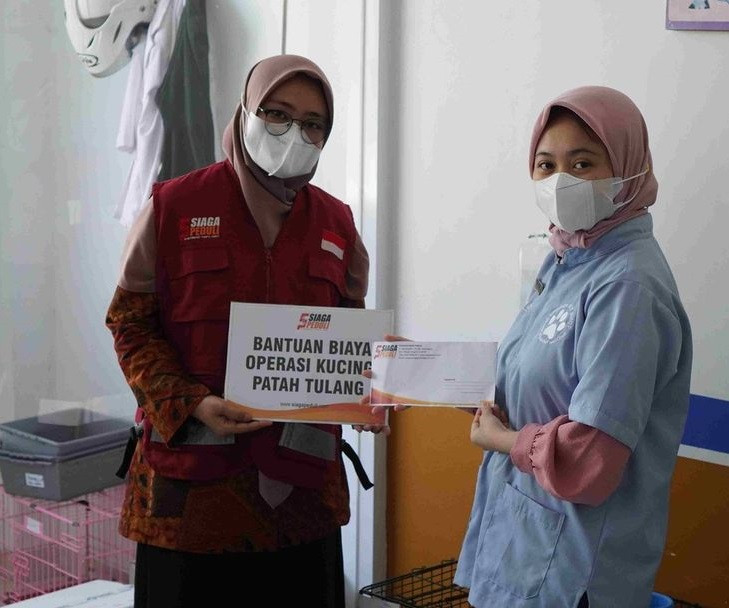 Siaga Peduli Salurkan Bantuan Biaya Operasi Alfa (Kucing Liar)